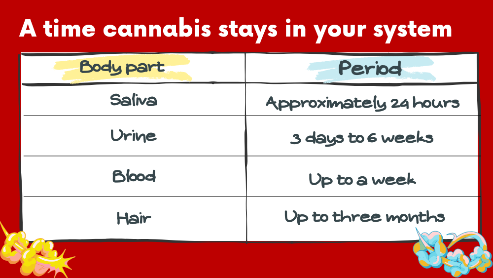 A time cannabis stays in your system