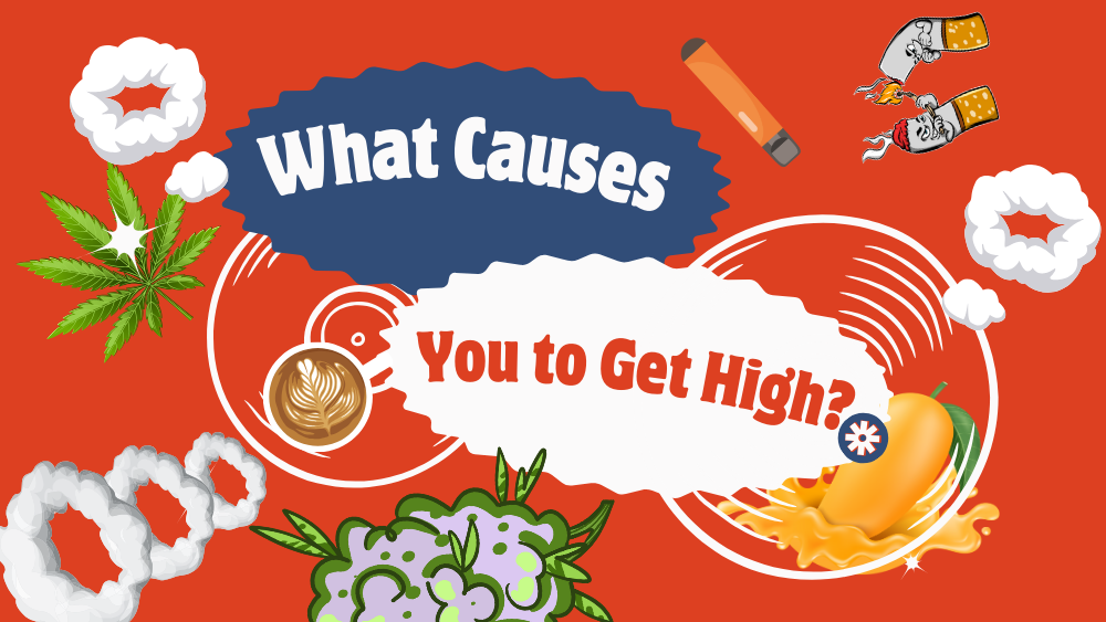 What Causes You to Get High