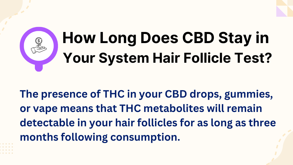 How Long Does CBD Stay in Your System Hair Follicle Test