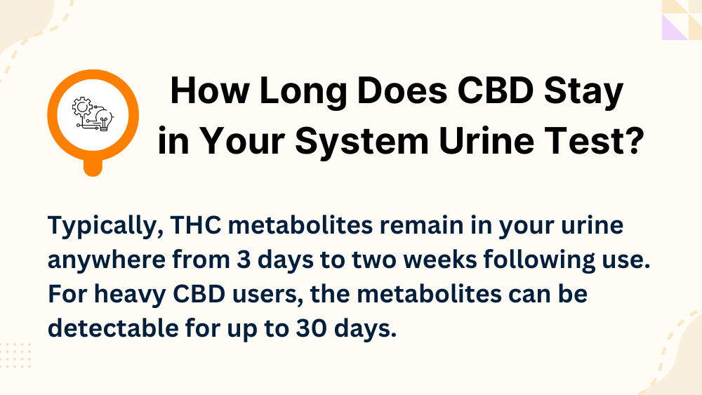 How Long Does CBD Stay in Your System Urine Test