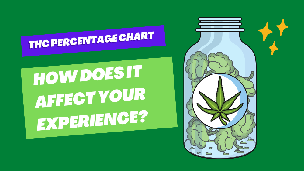 THC Percentage Chart How Does It Affect Your Experience