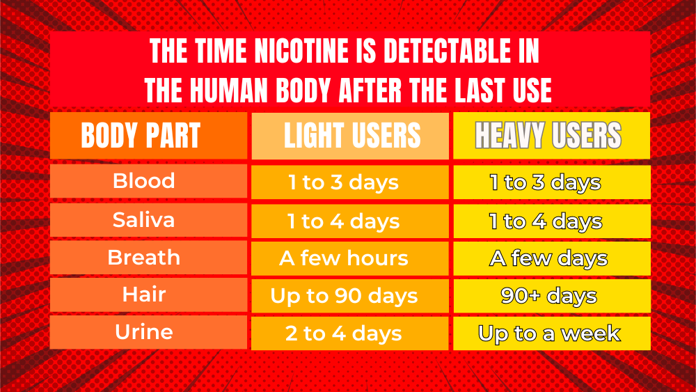 The time nicotine is detectable in the human body after the last use