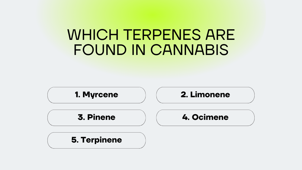 Which terpenes are found in cannabis