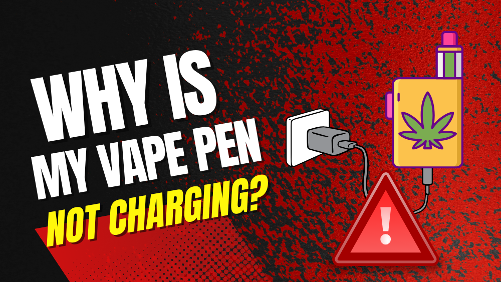Why Is My Vape Pen Not Charging