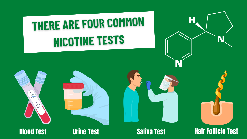 How Long After Vaping Will You Test Positive for Nicotine