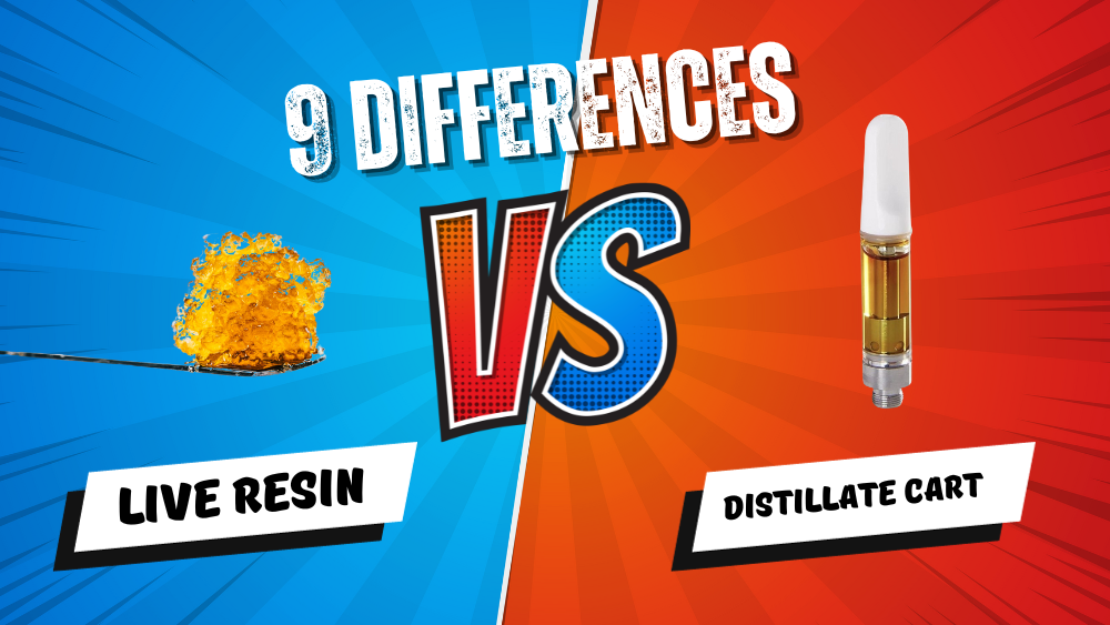 Live-Resin-vs-Distillate-Cart-9-Differences