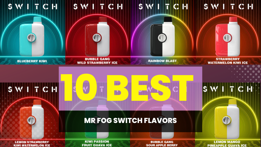 Top 10 Best Mr Fog Switch Flavors